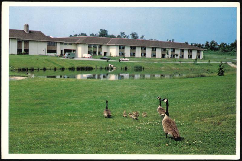 Wildlife and Pond at Crosslands Life Care Community Kennett Square Pennsylvania