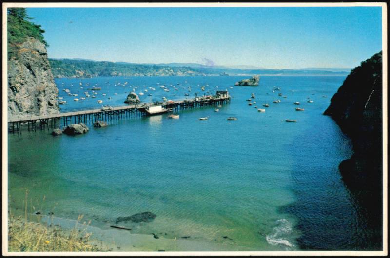 Trinidad Bay Pier and Salmon Fishing California Robert Freeman