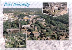 Duke University Campus, Chapel, and Gardens Postcard