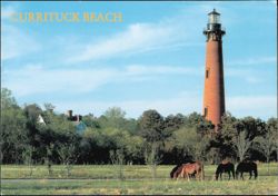 Currituck Beach Light, Outer Banks Lighthouse Postcard