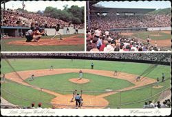 Little League World Series Howard J. Lamade Memorial Stadium Postcard