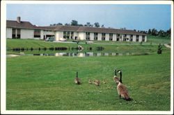 Wildlife and Pond at Crosslands Life Care Community Postcard