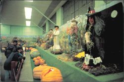 The Great Bloomsburg Fair Pumpkin Exhibit Pennsylvania Postcard