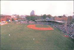 Historic Durham Athletic Park - Home of the Durham Bulls Postcard