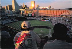 Oriole Park at Camden Yards Baseball Stadium Postcard