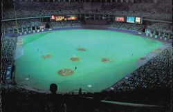 Busch Stadium Night Game St. Louis Cardinals Postcard
