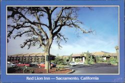 Red Lion Inn - Sacramento, California Postcard