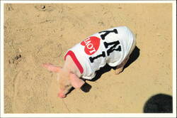 Pig Wearing I Love New York T-Shirt Postcard