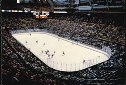 Checkerdome St. Louis Blues Hockey Game Arena View Postcard