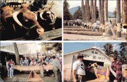 Fryeburg Fair Maine's Blue Ribbon Classic Postcard