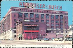 Anheuser-Busch Bottling Plant and Tour Information Postcard