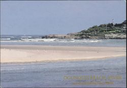 Ogunquit River and the Marginal Way Postcard