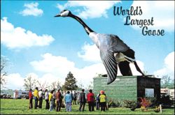 World's Largest Goose Statue Maxie Sumner Missouri Postcard