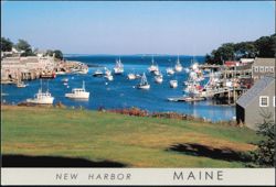 Harbor and Marina with Fishing Boats Postcard