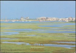 Webhannet River Marsh - Wells Jetty Postcard