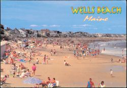 Wells Beach Crowded with Sunbathers and Beachgoers Postcard