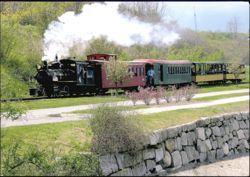 Engine #4 Steam Train Along Portland Harbor Postcard