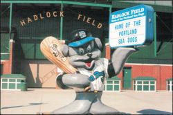 Hadlock Field Home of the Portland Sea Dogs Mascot Postcard