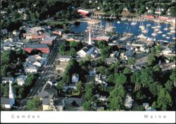 Aerial View of Harbor and Marina Postcard