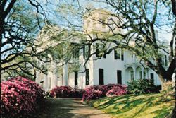 Stanton Hall, Natchez, Mississippi Postcard