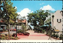 Magnolia Mall, Rue Magnolia Postcard