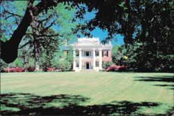 Melrose Historic Antebellum Mansion Natchez Mississippi Postcard