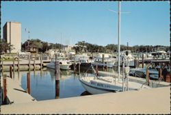 Small Craft Harbor with Maria Del Mar Apartments Postcard