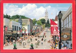 Fish Shanty Restaurant and Parade in Port Washington Postcard