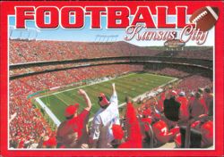 Football Stadium Fans in Stands Postcard