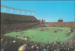 Carolina's Williams-Brice Stadium University of South Carolina Postcard