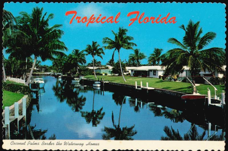 Coconut Palms Border the Waterway Homes Florida