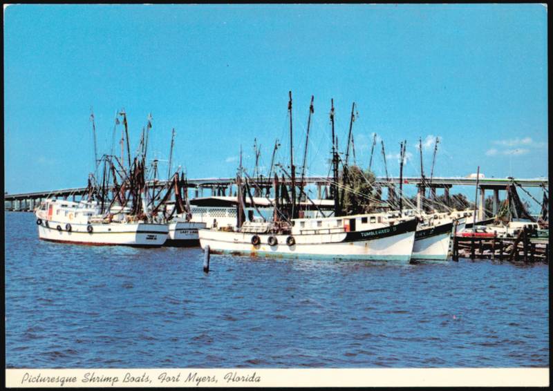 Picturesque Shrimp Boat Fleet on Caloosahatchee River Fort Myers Florida