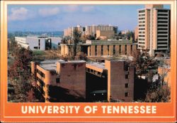 University of Tennessee Campus Buildings Postcard