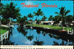 Coconut Palms Border the Waterway Homes Postcard