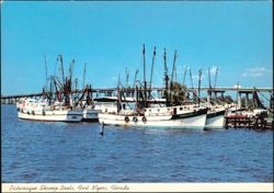 Picturesque Shrimp Boat Fleet on Caloosahatchee River Postcard