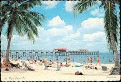 Beach and Fishing Pier Framed by Palm Trees Postcard