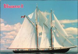 Nova Scotia's Famous Bluenose II Under Full Sail Postcard