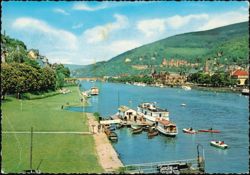 Partie am Neckar River and Heidelberg Castle Postcard