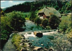Schwarzwald-Idyll an der Gutach, Black Forest Farmhouse Postcard