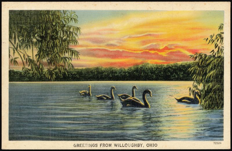 Greetings from Willoughby, Ohio - Swans at Sunset