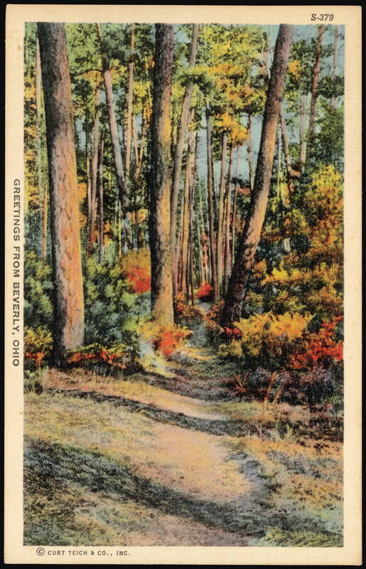 Greetings From Beverly, Ohio, Forest Path