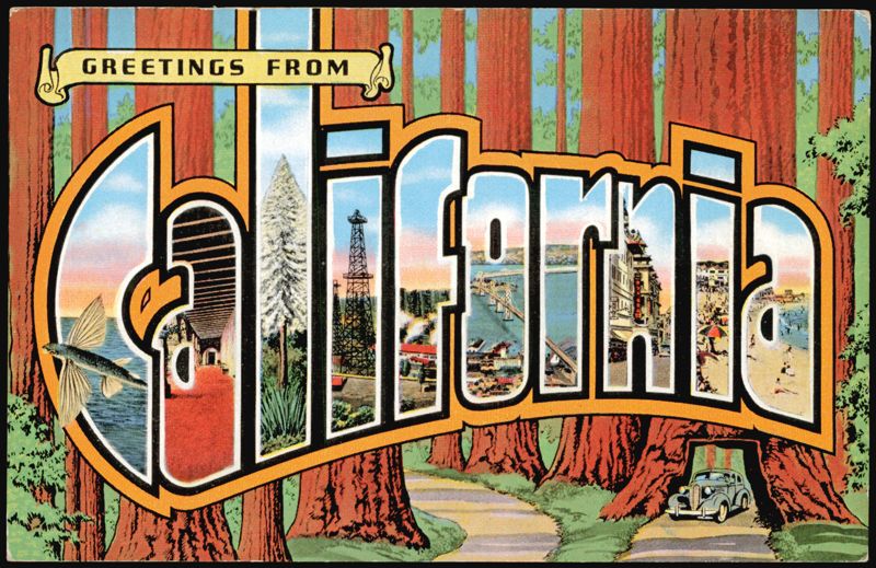 Greetings From California Large Letter, Redwood Trees