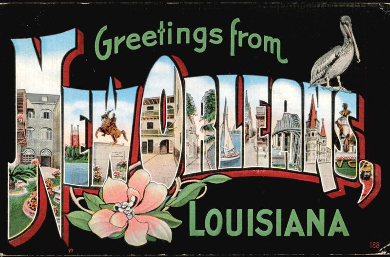 Greetings from New Orleans Louisiana Large Letter Pelican Magnolia