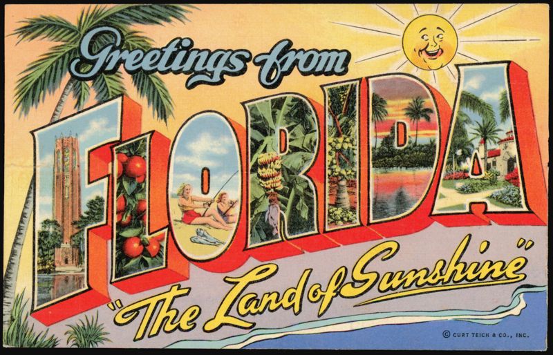 Greetings from Florida The Land of Sunshine