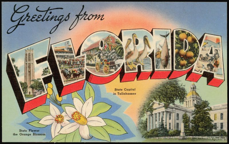 Greetings from Florida Large Letter, Orange Blossom
