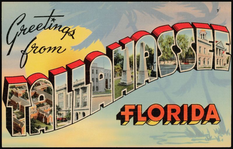 Greetings From Tallahassee Large Letter Florida