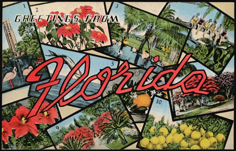 Greetings From Florida: Singing Tower, Flamingos, Tarpon