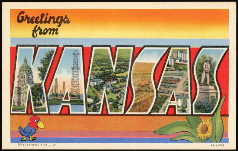 Greetings from Kansas Large Letter Jayhawk Sunflower