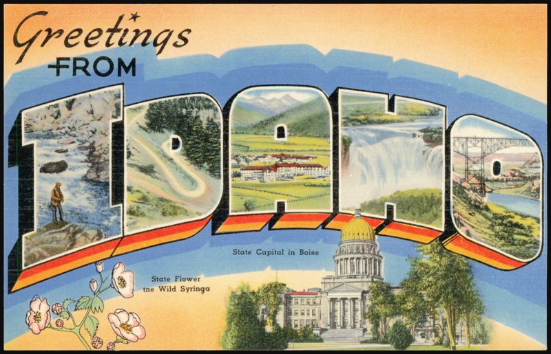 Greetings From Idaho Large Letter, State Capital, Wild Syringa