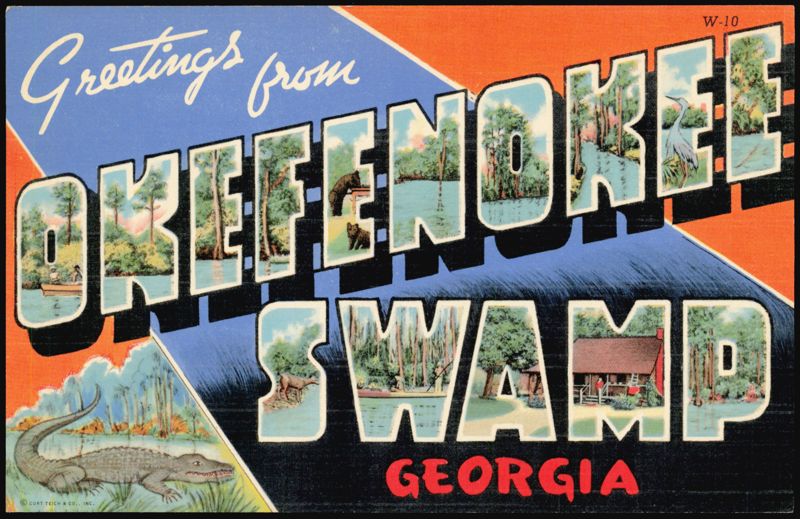 Greetings from Okefenokee Swamp